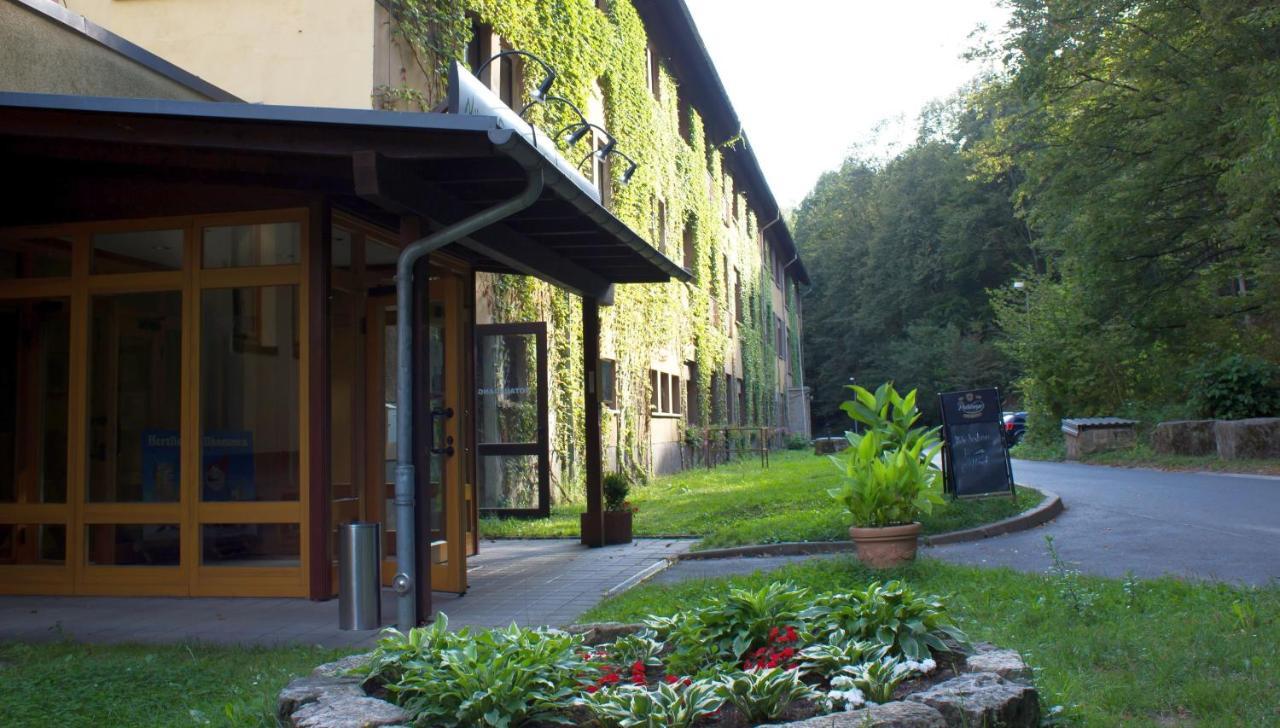 Aktiv-Hotel Stock & Stein Königstein an der Elbe Exteriér fotografie